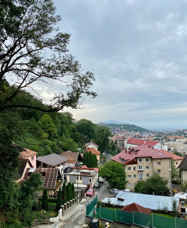 Nature Apartment - Minutes Away From The Old Town And Afi Mall Брашов Экстерьер фото
