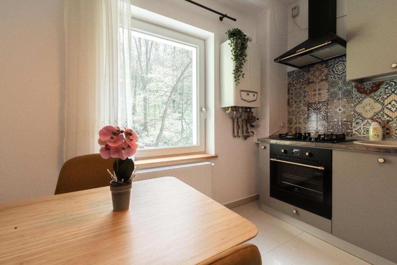 Nature Apartment - Minutes Away From The Old Town And Afi Mall Брашов Экстерьер фото
